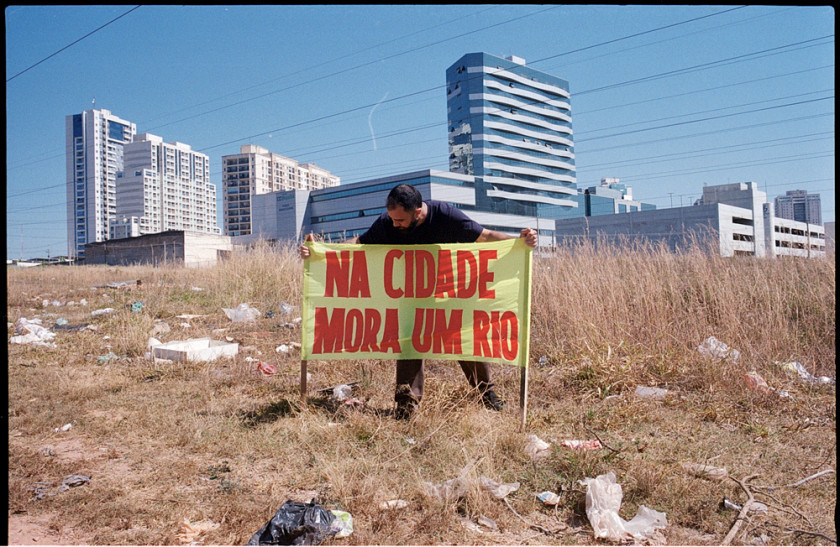 Macaque in the trees