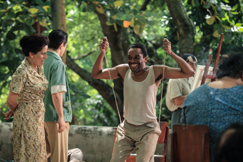 Macaque in the trees