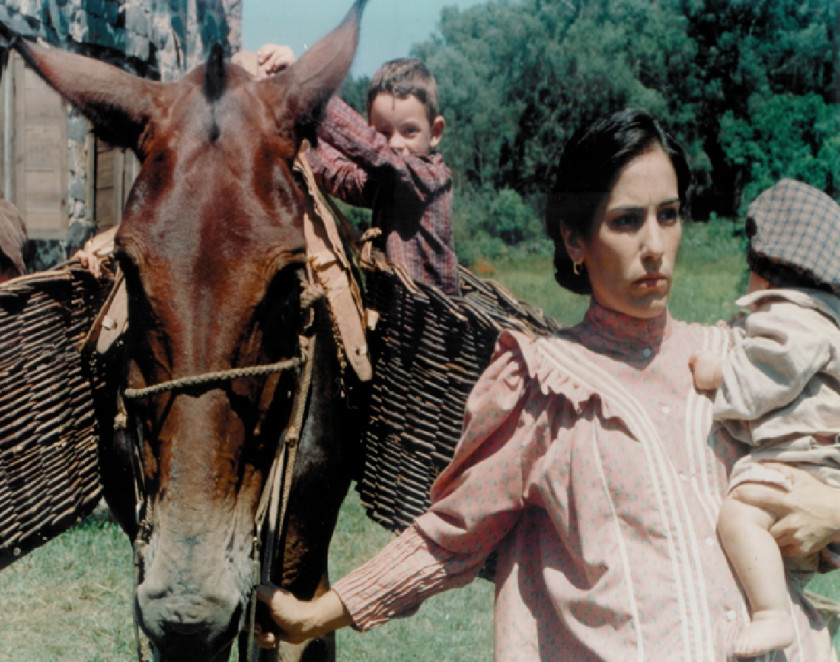 Macaque in the trees