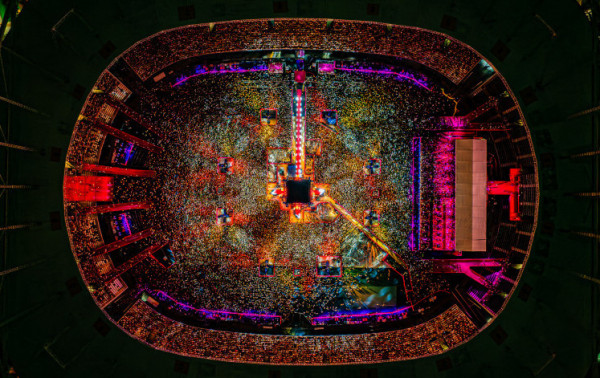 Macaque in the trees