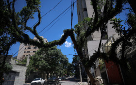 Ciclone deixa 1,3 milhão sem energia na Grande SP; capital é a mais afetada