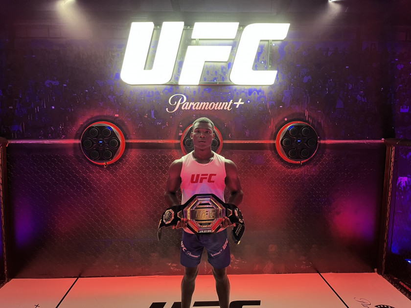 Macaque in the trees