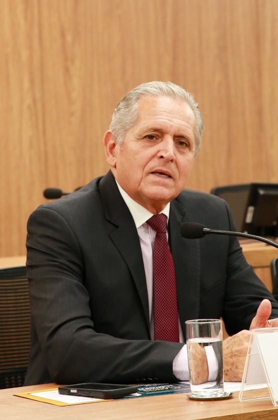 Macaque in the trees