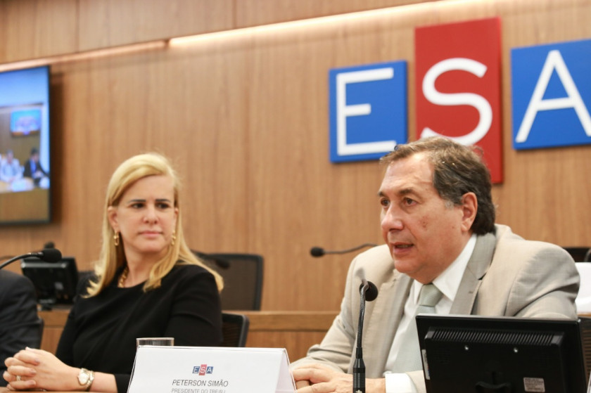 Macaque in the trees