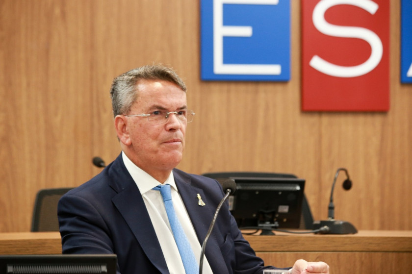 Macaque in the trees