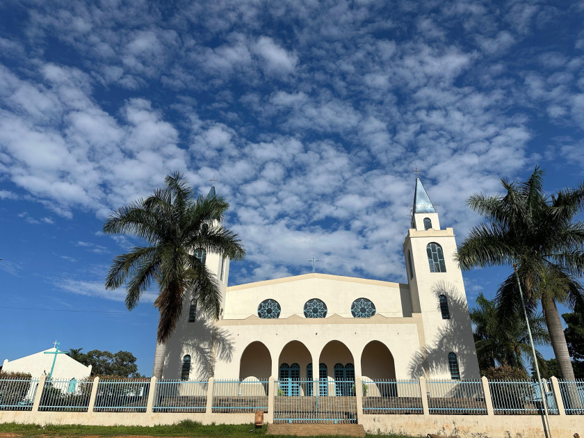 Macaque in the trees
