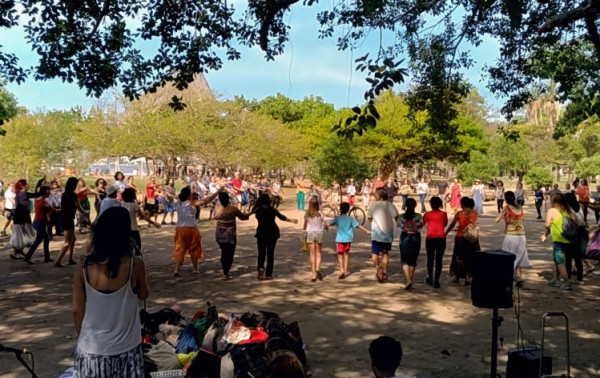 Macaque in the trees