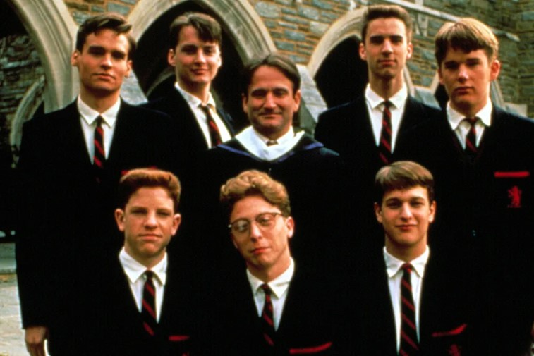 Macaque in the trees