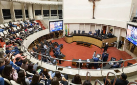 As cotas que nos pariram