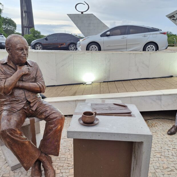 Macaque in the trees