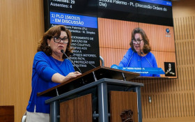 Debora Palermo critica hipocrisia da esquerda no caso Vorcaro