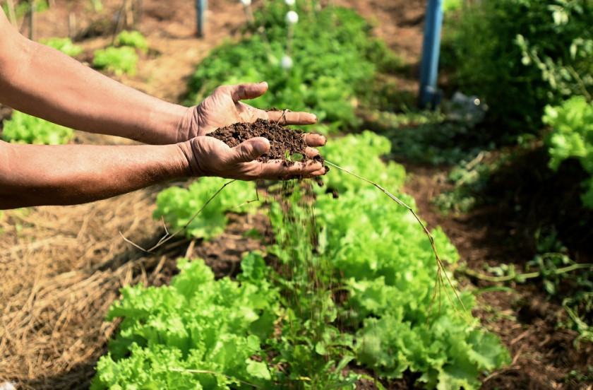 Estado do Esp&iacute;rito Santo investe R$ 62 milh&otilde;es na compra de alimentos da agricultura familiar para a merenda escolar
