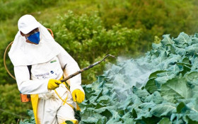 Rio ter&aacute; campanha permanente de preven&ccedil;&atilde;o a &agrave; intoxica&ccedil;&atilde;o cr&ocirc;nica por agrot&oacute;xicos