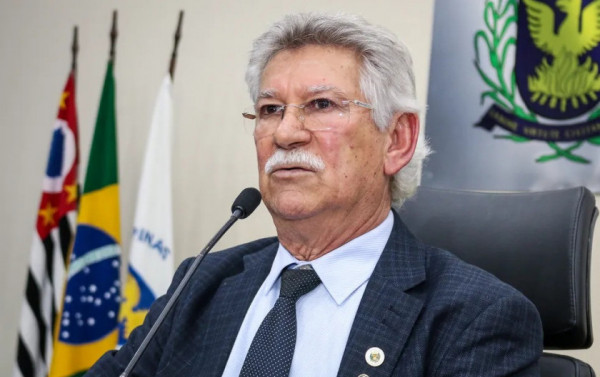 Macaque in the trees