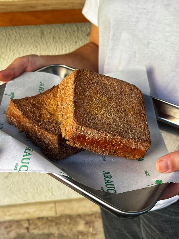 Macaque in the trees