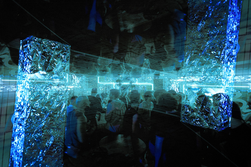 Macaque in the trees