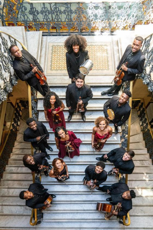 Macaque in the trees