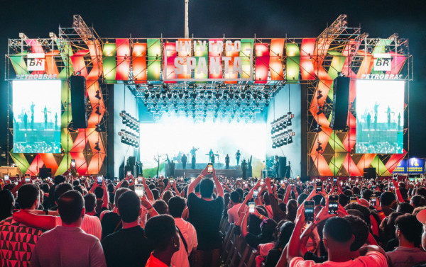 Macaque in the trees