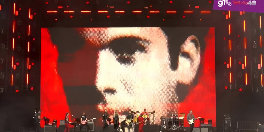 Macaque in the trees