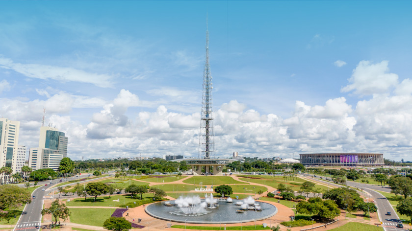 Macaque in the trees