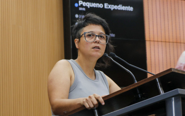 Mariana Conti critica desist&ecirc;ncia da C&acirc;mara em obter v&iacute;deos de investiga&ccedil;&atilde;o sobre Vini