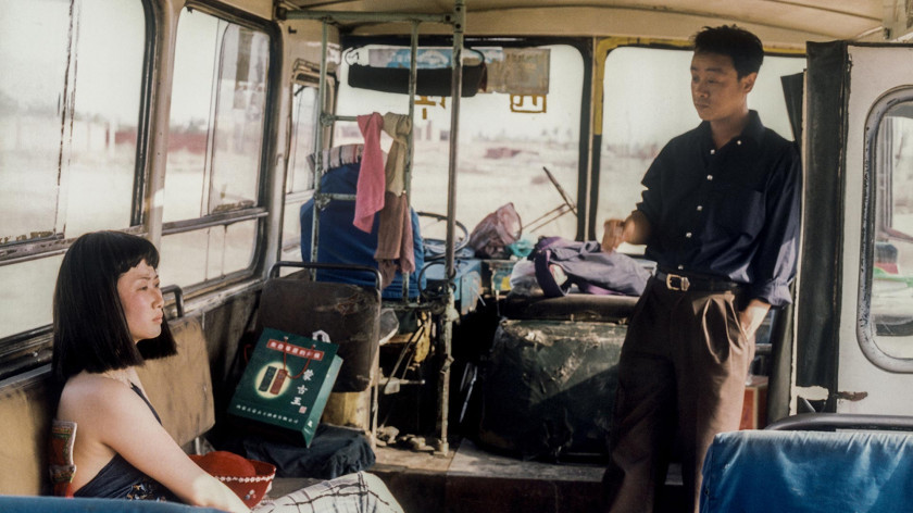 Macaque in the trees