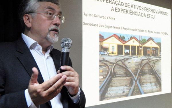 Macaque in the trees