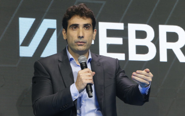 Macaque in the trees