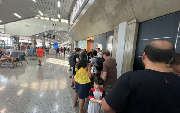 Macaque in the trees