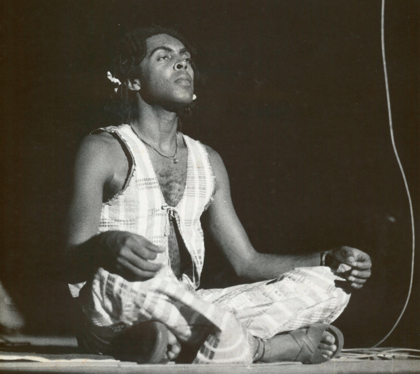 Macaque in the trees