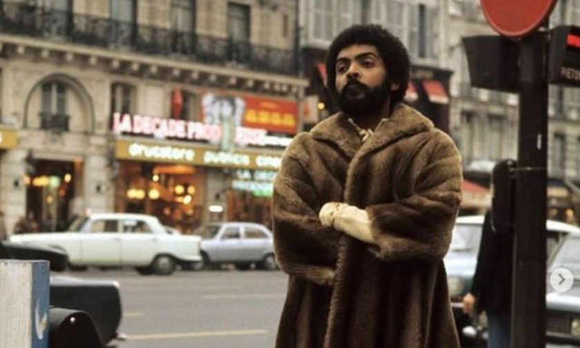 Macaque in the trees