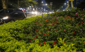 S&atilde;o Paulo amplia drenagem verde com 103 jardins