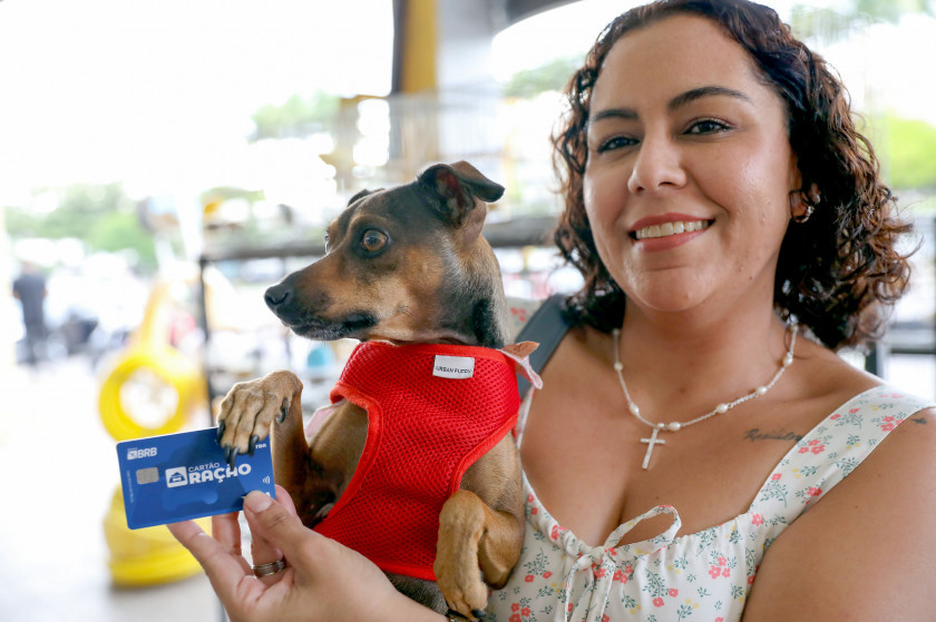 Macaque in the trees