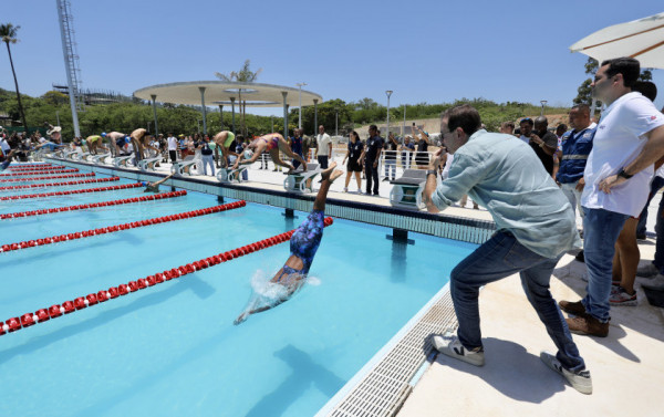 Macaque in the trees