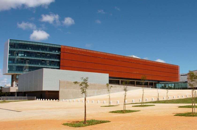 Macaque in the trees