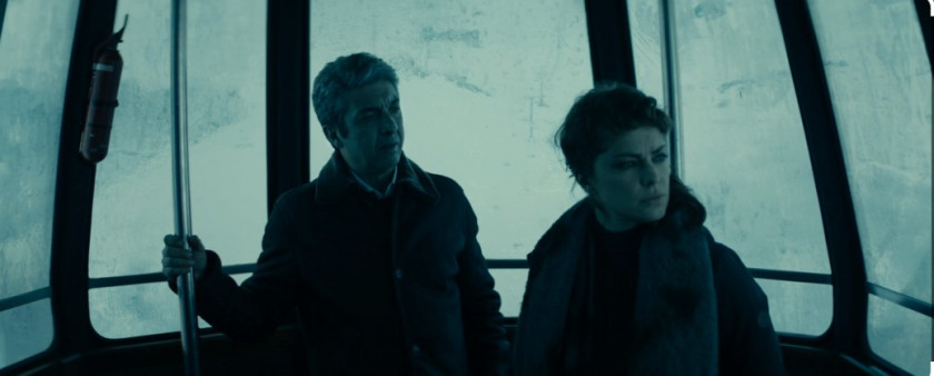 Macaque in the trees