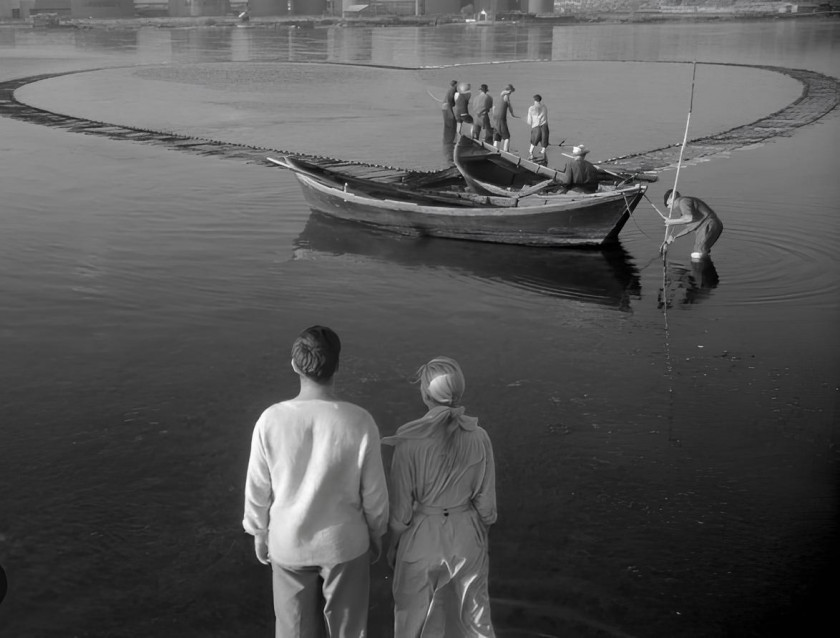 Macaque in the trees