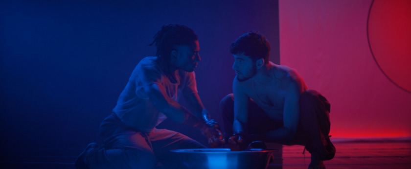 Macaque in the trees