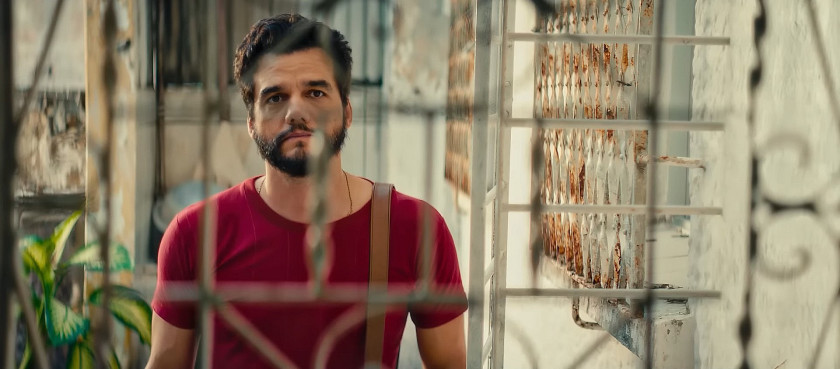 Macaque in the trees