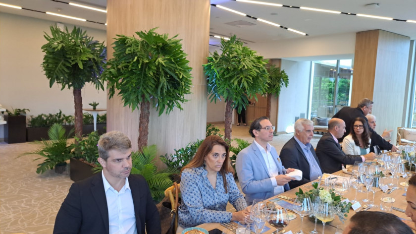 Macaque in the trees