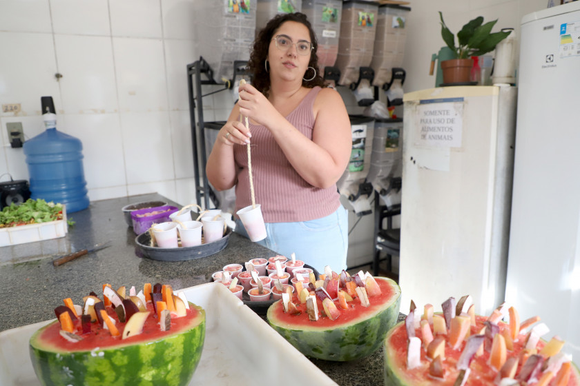 Macaque in the trees