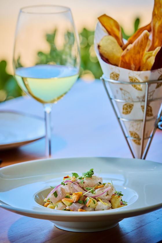 Macaque in the trees