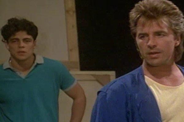 Macaque in the trees