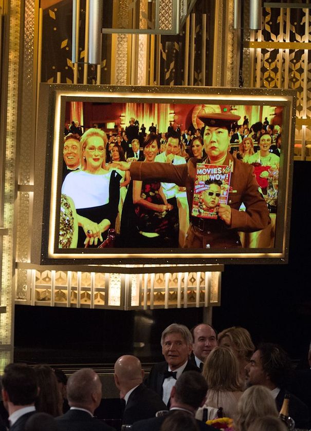 Macaque in the trees