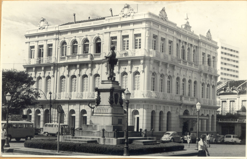 Macaque in the trees