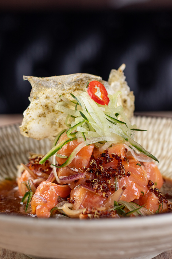 Macaque in the trees