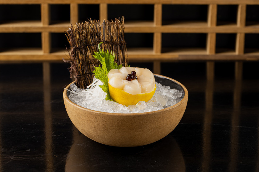 Macaque in the trees