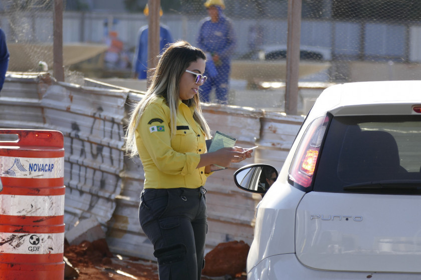 Macaque in the trees