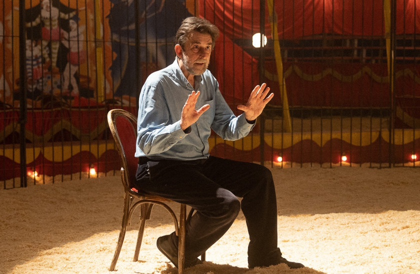 Macaque in the trees