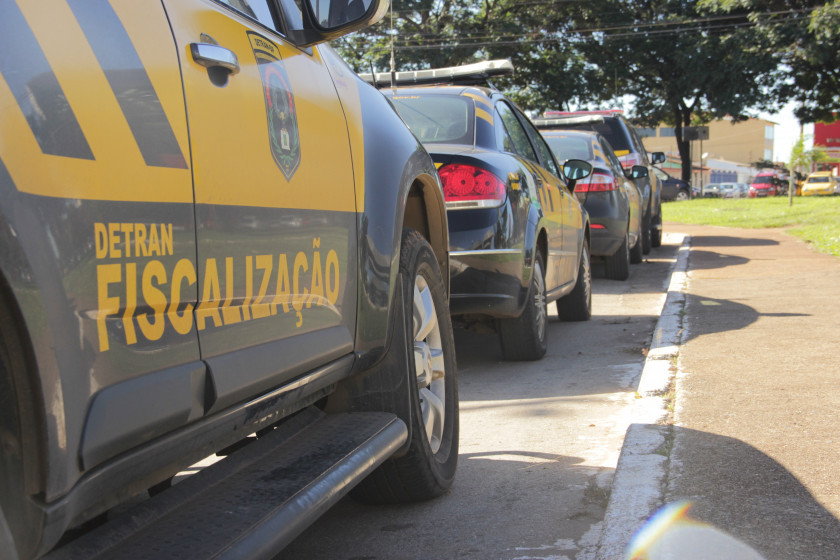 Macaque in the trees